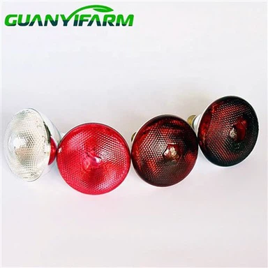 Teatud välivalgustid, nagu tulva- või kohtvalgustid