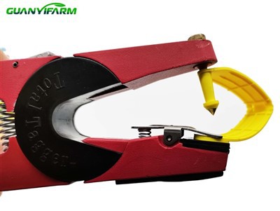 Kõrvamärgistus kodulindude jälgimiseks