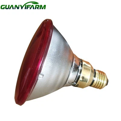 PAR38 Press Glass Heat Lamp
