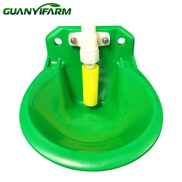 Kitse plastikust joogikauss