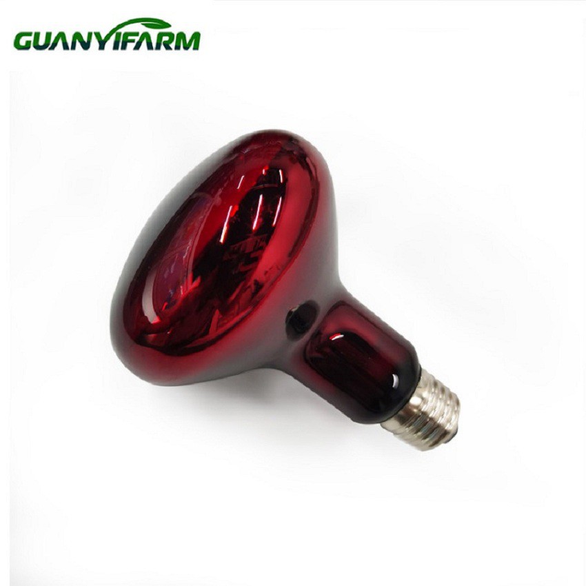 detail of reptile light detail of reptile light